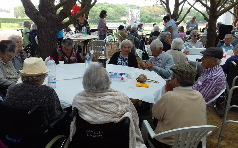 Maio Ancião 2017